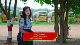 Paape Maa Jeevana Jyothi S01 E636 Seenu Confronts Kutti