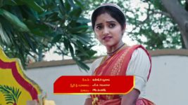 Naga Panchami (Star Maa) S01 E68 Nambudri Has a Plan