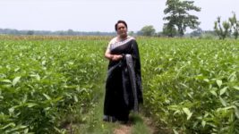 Ghore Ghore S01 E139 12th June 2023