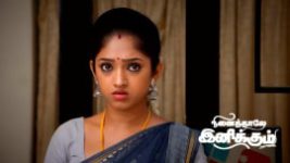 Ninaithale Inikkum S01 E586 24th June 2023