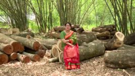 Ghore Ghore S01 E175 24th July 2023