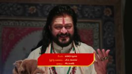 Naga Panchami (Star Maa) S01 E110 Moksha Grows Anxious