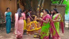 Naga Panchami (Star Maa) S01 E127 Panchami Fumes in Anger