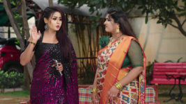 Naga Panchami (Star Maa) S01 E147 Will Jwala, Chithra Succeed?