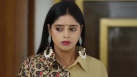 Paape Maa Jeevana Jyothi S01 E736 Indumathi, Yamini's Cunning Plan