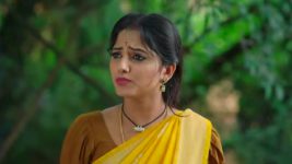 Naga Panchami (Star Maa) S01 E168 Vaidehi Blames Panchami