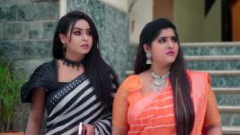 Naga Panchami (Star Maa) S01 E169 Nambudri to Ensare Moksha