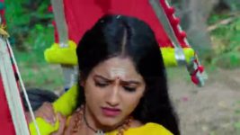 Naga Panchami (Star Maa) S01 E175 Subbu Aids Panchami