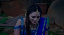 Naga Panchami (Star Maa) S01 E188 A Revelation Shatters Moksha