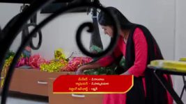 Paape Maa Jeevana Jyothi S01 E771 Kutti Evades Suraj