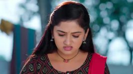 Paape Maa Jeevana Jyothi S01 E778 Padma Has Doubts