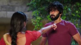 Naga Panchami (Star Maa) S01 E163 Panchami's Concern for Moksha