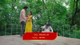 Naga Panchami (Star Maa) S01 E164 Guruji's Suggestion for Panchami