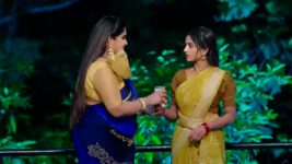 Naga Panchami (Star Maa) S01 E179 Panchami's Demand to Nambudri