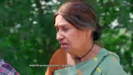 Paape Maa Jeevana Jyothi S01 E773 Seenu's Emotional Collapse