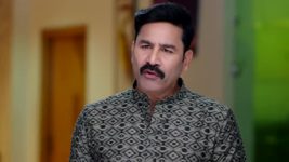 Naga Panchami (Star Maa) S01 E201 Panchami Is Nervous