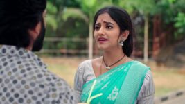 Naga Panchami (Star Maa) S01 E205 A Relief for Sabari