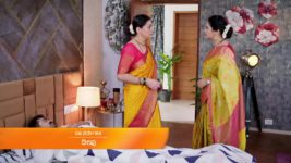 Shrirasthu Shubhamasthu S01 E273 14th November 2023