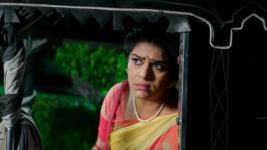 Paape Maa Jeevana Jyothi S01 E781 Seenu's New Beginnings