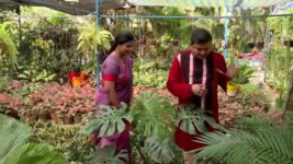 Ghore Ghore S01 E294 9th December 2023