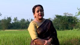 Ghore Ghore S01 E295 11th December 2023