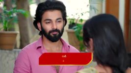 Naga Panchami (Star Maa) S01 E219 Jwala, Chithra Take Control