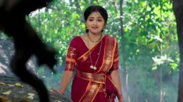 Naga Panchami (Star Maa) S01 E222 Subbu Makes an Attempt