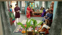 Rani Me Honar S01 E105 A Shocking Day For Vasaikars