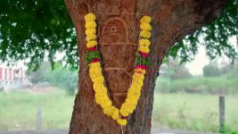 Paape Maa Jeevana Jyothi S01 E806 Seenu Invokes Lord Shiva's Favour