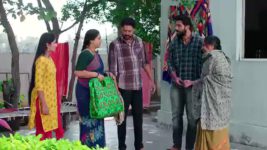 Paape Maa Jeevana Jyothi S01 E823 Gangu's Concern about Seenu