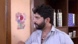 Pratishodh Zunj Astitvachi S01 E276 Harsh's Blog