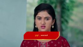 Paape Maa Jeevana Jyothi S01 E851 Kutti in a Bind