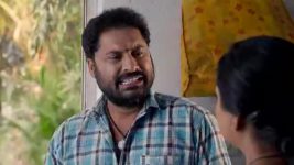 Paape Maa Jeevana Jyothi S01 E857 Yamini Is Unsuccessful