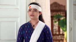 Falna (Jalsha) S01E214 Falna Makes a Wish Full Episode