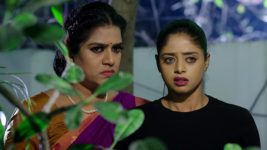 Paape Maa Jeevana Jyothi S01 E849 Indumathi Ruins Kutti's Present