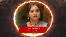 Naga Panchami (Star Maa) S01 E283 Panchami Confronts Karali