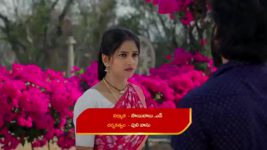 Naga Panchami (Star Maa) S01 E289 Karali Directs Kanthri, Tanthri