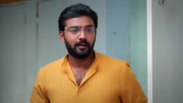 Ninaithale Inikkum S01 E816 20th February 2024