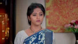 Naga Panchami (Star Maa) S01 E313 Good News for Raghu