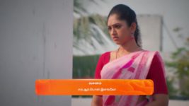 Ninaithale Inikkum S01 E841 16th March 2024