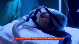 Neem Phooler Madhu S01 E509 11th April 2024