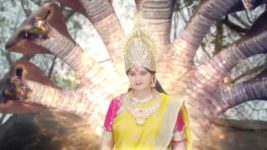 Naga Panchami (Star Maa) S01 E354 Naga Devatha Commands Nageswari