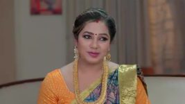 Naga Panchami (Star Maa) S01 E368 Panchami Cautions Karali