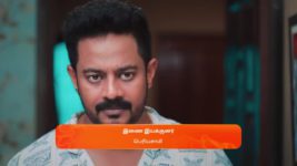 Nala Damayanthi S01 E195 24th May 2024