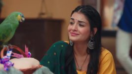 Yeh Hai Chahatein S04 E507 11th May 2024