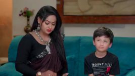 Naga Panchami (Star Maa) S01 E370 Karali's Malicious Scheme