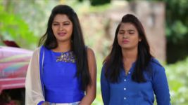 Saravanan Meenatchi S15E54 Madona Warns Meenakshi Full Episode