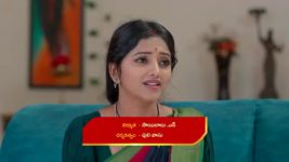 Naga Panchami (Star Maa) S01 E373 A Concern for Jwala, Bhargav