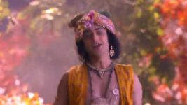 Radha krishna (Bengali) S01E211 Balaram Covers for Radha Full Episode