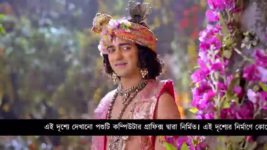 Radha krishna (Bengali) S01E321 Kalloban Turns in to Ashes Full Episode